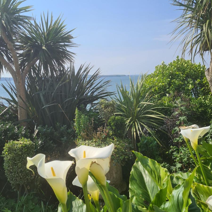 Beautiful 2 Bedroom Caravan, Holiday Park Tenby Saint Florence المظهر الخارجي الصورة