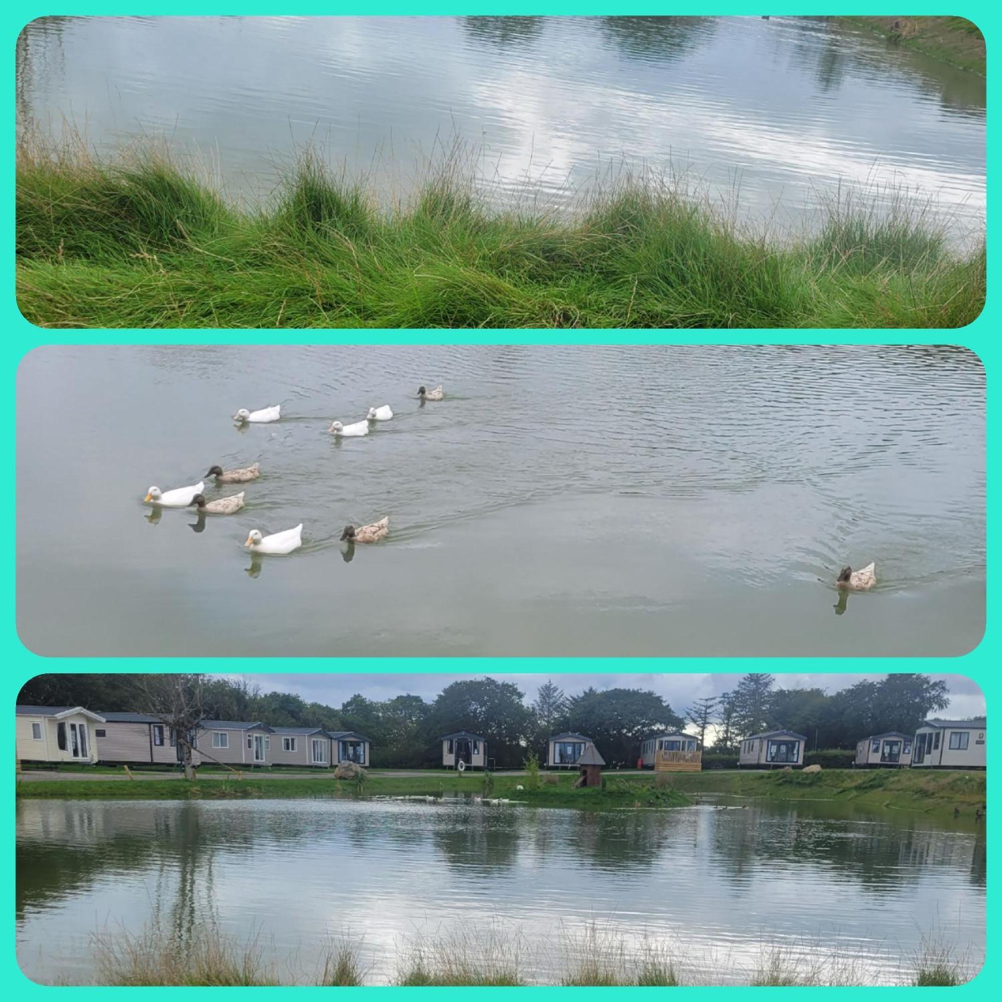 Beautiful 2 Bedroom Caravan, Holiday Park Tenby Saint Florence المظهر الخارجي الصورة
