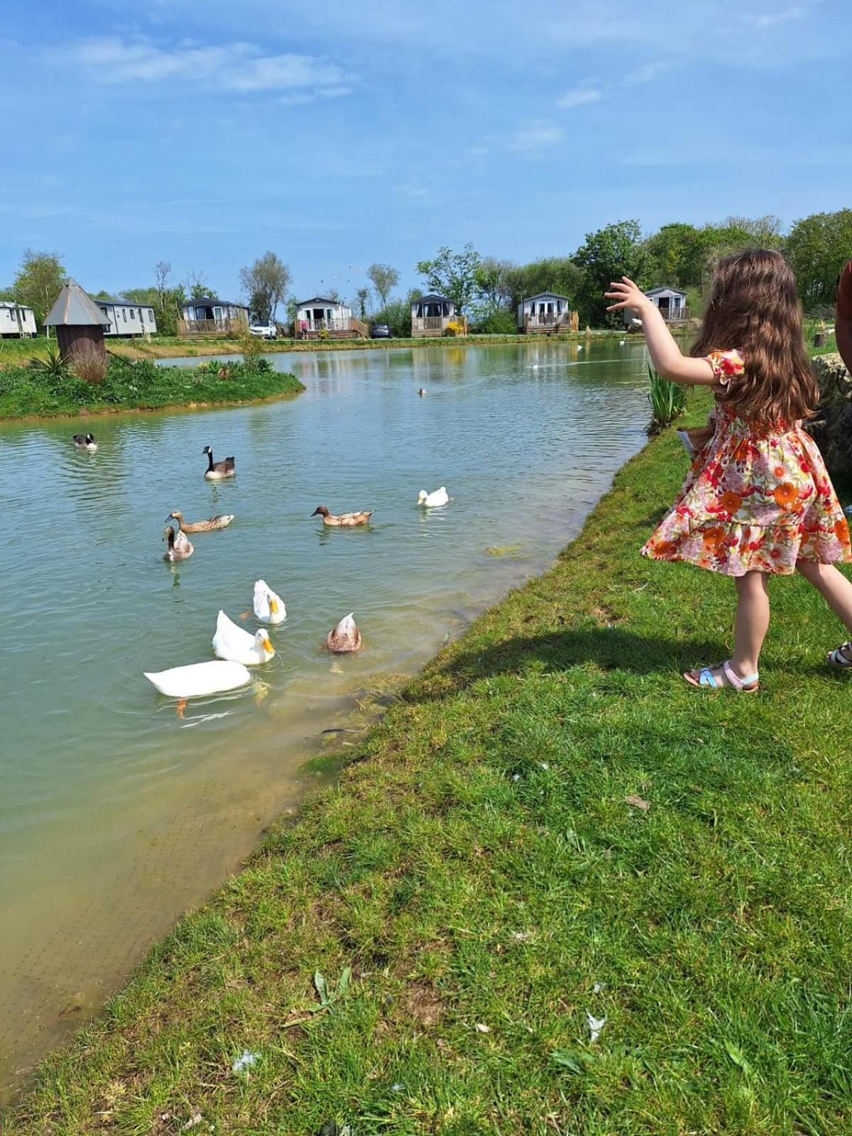 Beautiful 2 Bedroom Caravan, Holiday Park Tenby Saint Florence المظهر الخارجي الصورة